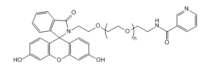 FITC-PEG-Niacin 荧光素-聚乙二醇-烟酸