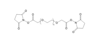 双端琥珀酰亚胺戊酸酯聚乙二醇 