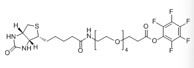 Biotin-PEG4-Pentafluorophenyl ester;生物素-四聚乙二醇-五氟苯酯