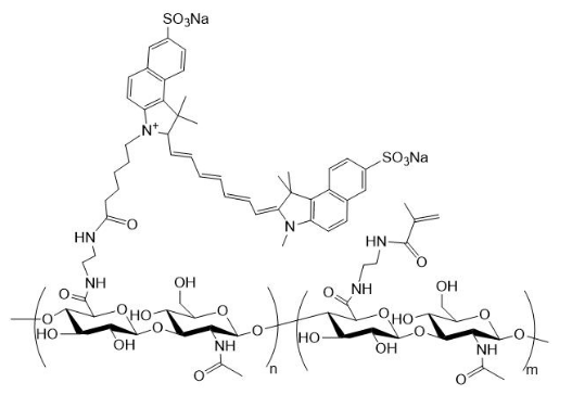  Cy7.5-HA-MA Cy7.5标记甲基丙烯酸酯化透明质酸