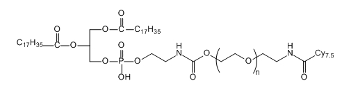 DSPE-PEG-Cy7.5;二硬脂酰基磷脂酰乙醇胺-聚乙二醇-花青素Cy7.5