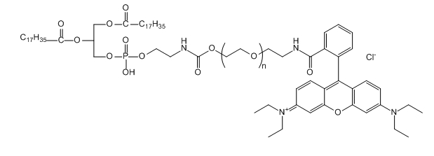 RB-PEG-DSPE；罗丹明B-聚乙二醇-二硬脂酰基磷脂酰乙醇胺