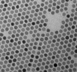 PAA修饰上转换纳米粒子 Polyacrylic Acid修饰上转换纳米颗粒
