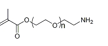 MA-PEG-NH2；α-甲基丙烯酸酯基-ω-氨基聚乙二醇