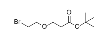 Br-PEG1-CH2CH2COOtBu；溴代-一聚乙二醇-丙酸叔丁酯