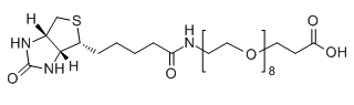 Biotin-PEG8-COOH