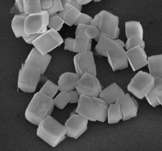 稀土上转换荧光纳米颗粒直径30-60nm