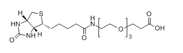 CAS：252881-76-8，Biotin-PEG3-COOH的介绍