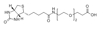 Biotin-PEG2-COOH；1365655-89-5；生物素-二聚乙二醇-丙酸