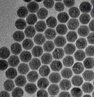 蓝色荧光上转换纳米颗粒Upconversion Nanoparticles