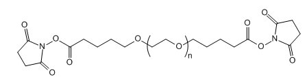 Succinimidyl valerate-PEG-Succinimidyl valerate；应用于医学研究