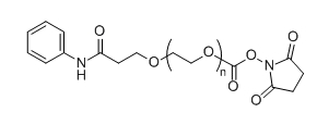 Ph-PEG-NHS；Phenyl-PEG-NHS；苯基-聚乙二醇-活性酯