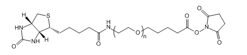 Biotin-PEG-SVA；生物素-聚乙二醇-琥珀酰亚胺戊酸酯
