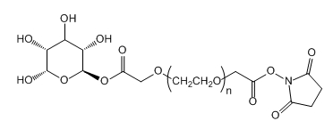 Gala-PEG-SCM；半乳糖-聚乙二醇-琥珀酰亚胺羧甲基酯