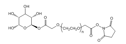 Gala-PEG-SCM；半乳糖-聚乙二醇-琥珀酰亚胺羧甲基酯