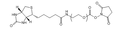 Biotin-PEG-NHS；Biotin-PEG-SC；生物素-聚乙二醇-活性酯