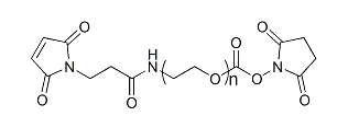 Mal-PEG-SC；Mal-PEG-NHS；马来酰亚胺-聚乙二醇-活性酯