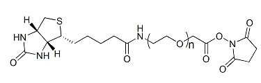 Biotin-PEG-SCM；生物素-聚乙二醇-琥珀酰亞胺羧甲基酯