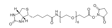 CAS： 2055045-04-8；Biotin-PEG6-SPA；生物素-六聚乙二醇-琥珀酰亚胺酯