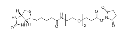 CAS ： 596820-83-6；Biotin-PEG2-SPA；Biotin-PEG2-NHS