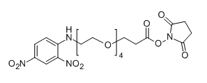 CAS： 858126-78-0；DNP-PEG4-NHS；分子式：  C21H28N4O12