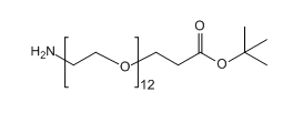 NH2-PEG12-CH2CH2COOtBu；1383814-00-3；氨基十二聚乙二醇丙酸叔丁酯