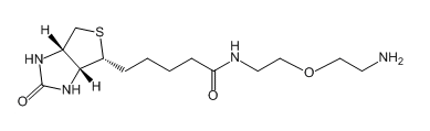 Biotin-PEG1-NH2;811442-85-0;生物素-乙二醇-氨基