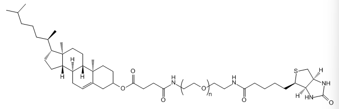 CLS-PEG-Biotin；Cholesterol-PEG-Biotin；胆固醇-聚乙二醇-生物素