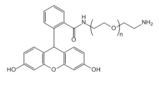 NH2-PEG-FAM，Amine-PEG-FAM应用于医学研究