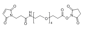 Mal-NH-PEG4-NHS；756525-99-2；马来酰亚胺-酰胺-四聚乙二醇-琥珀酰亚胺酯