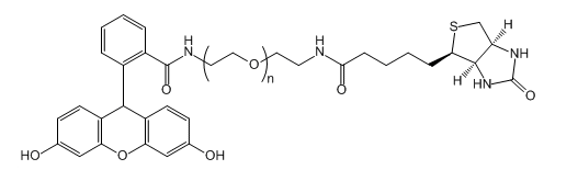 Biotin-PEG-FAM；生物素-聚乙二醇-FAM的基本信息