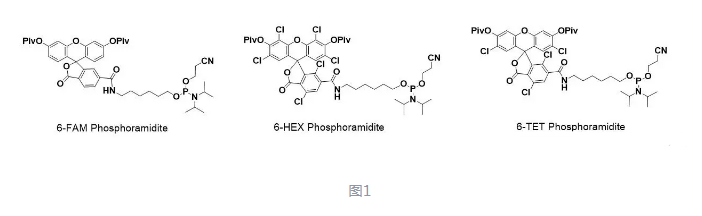 荧光素标记