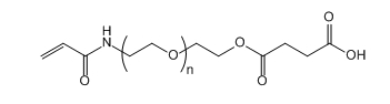 ACA-PEG-SA；Acrylamide -PEG-Succinic Acid；丙烯酰胺-聚乙二醇-丁二酸