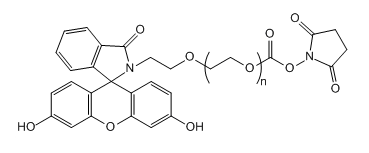 FITC-PEG-SC；荧光素-聚乙二醇-琥珀酰亚胺碳酸酯；FITC-PEG-NHS