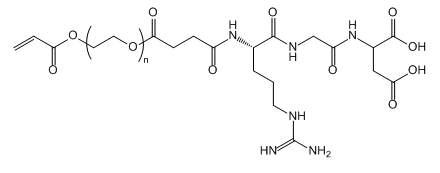 AC-PEG-RGD；丙烯酸酯-聚乙二醇-精氨酰-甘氨酰-天冬氨酸