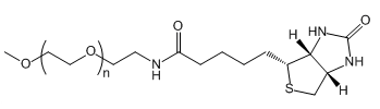 mPEG-Biotin；甲氧基聚乙二醇生物素应用于医学研究