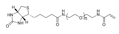 Biotin-PEG-ACA；生物素-聚乙二醇-丙烯酰胺；Biotin-PEG-Acrylamide