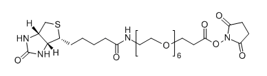 Biotin-PEG6-SPA；2055045-04-8；生物素-六聚乙二醇-琥珀酰亚胺酯
