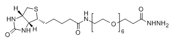 Biotin-PEG6-HZ，Biotin-PEG6-Hydrazide的基本介绍
