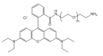 RB-PEG-NH2；Rhodamine B-PEG-Amine；罗丹明B-聚乙二醇-氨基
