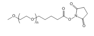 mPEG-SVA；甲氧基聚乙二醇琥珀酰亚胺戊酸酯