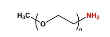 mPEG-NH2；mPEG-Amine；甲氧基聚乙二醇胺