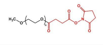 mPEG-SS；甲氧基聚乙二醇琥珀酰亚胺丁二酸酯