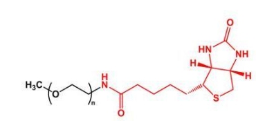 mPEG-Biotin；mPEG-BN甲氧基聚乙二醇生物素 