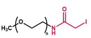 mPEG-IA，甲氧基聚乙二醇酰碘乙酰胺，mPEG-Iodine