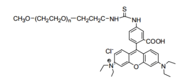 mPEG-Rhodamine B；甲氧基聚乙二醇罗丹明 