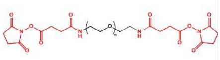 SAS-PEG-SAS；二琥珀酰胺琥珀酰亚胺酯聚乙二醇；Succinamide Succinimidyl ester-PEG-Succinamide