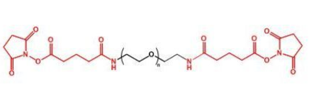 GAS-PEG-GAS；二戊二酰胺琥珀酰亚胺聚乙二醇；Glutaramide Succinimidyl ester-PEG-Glutaramide