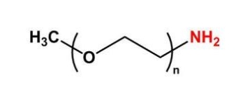 mPEG-NH2；mPEG-Amine；甲氧基聚乙二醇胺 