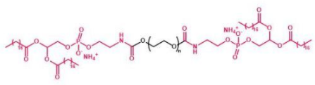 DSPE-PEG-DSPE；二磷脂聚乙二醇；磷脂PEG磷脂